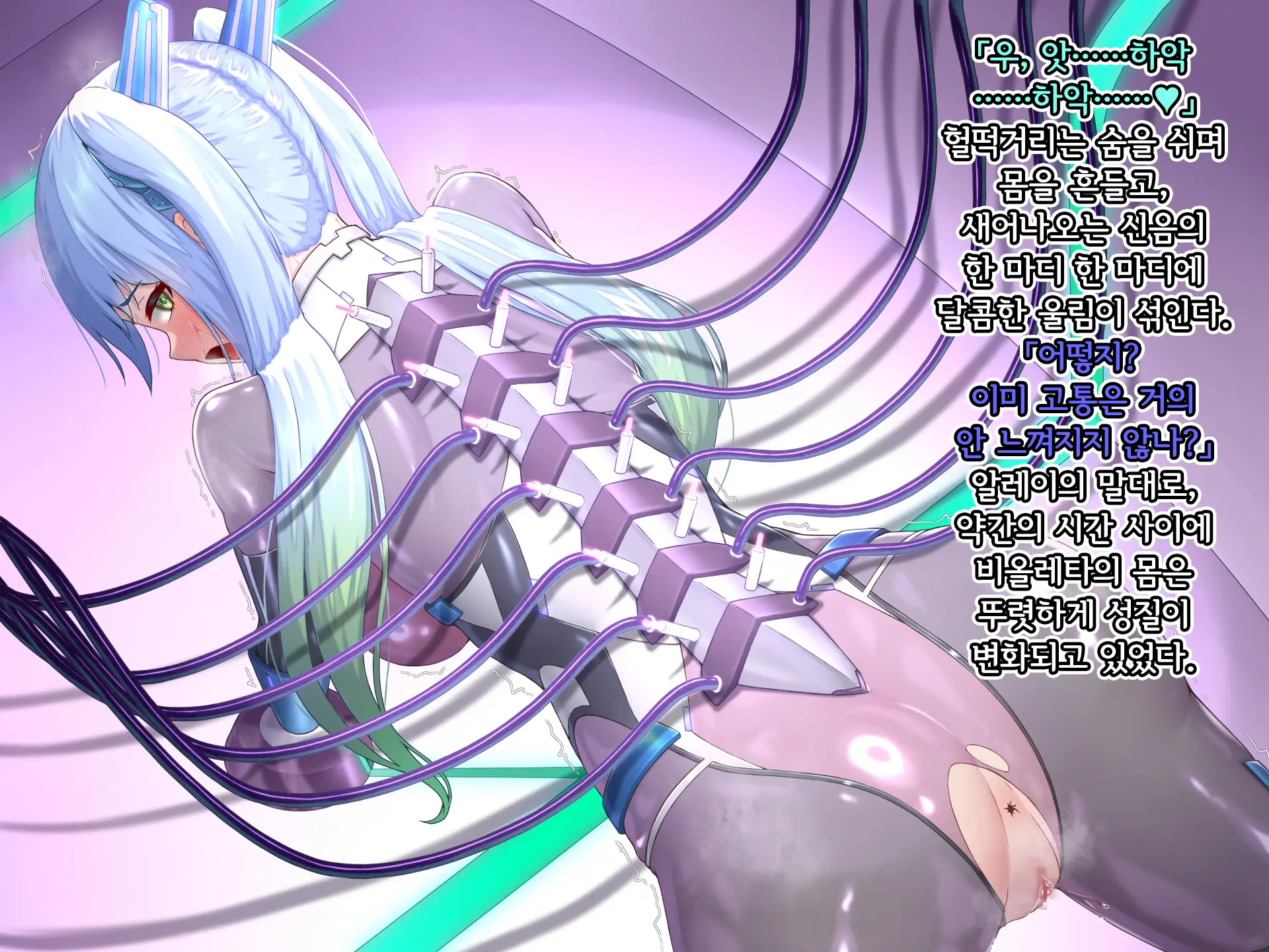 Eidos Arcadia -Kyoei Choukyou Reijuu No Denei Hime- | 에이도스 아르카디아 -허영조교 예속의 전영희-
